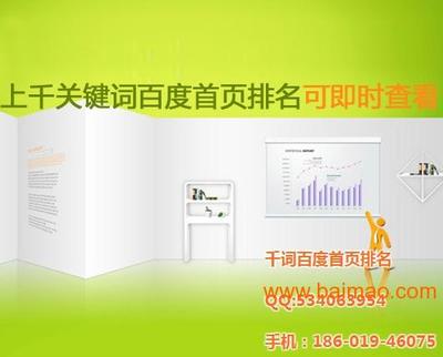 北京網(wǎng)站優(yōu)化與網(wǎng)絡(luò)營(yíng)銷推廣 賦能中小企業(yè)線上增長(zhǎng)新引擎